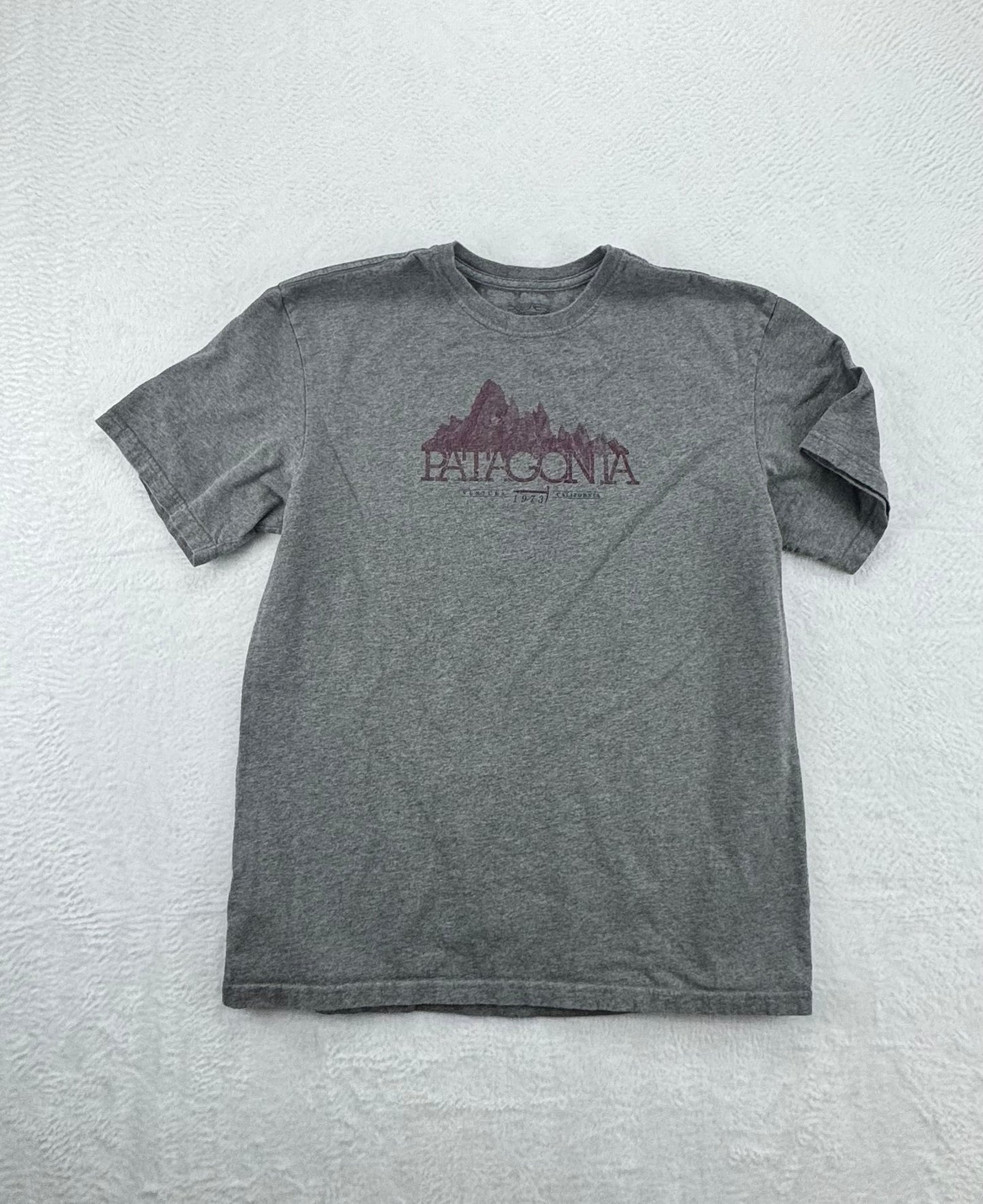 Patagonia Organic Cotton Graphic T-Shirt – Gray – Men’s Large – Made in USA