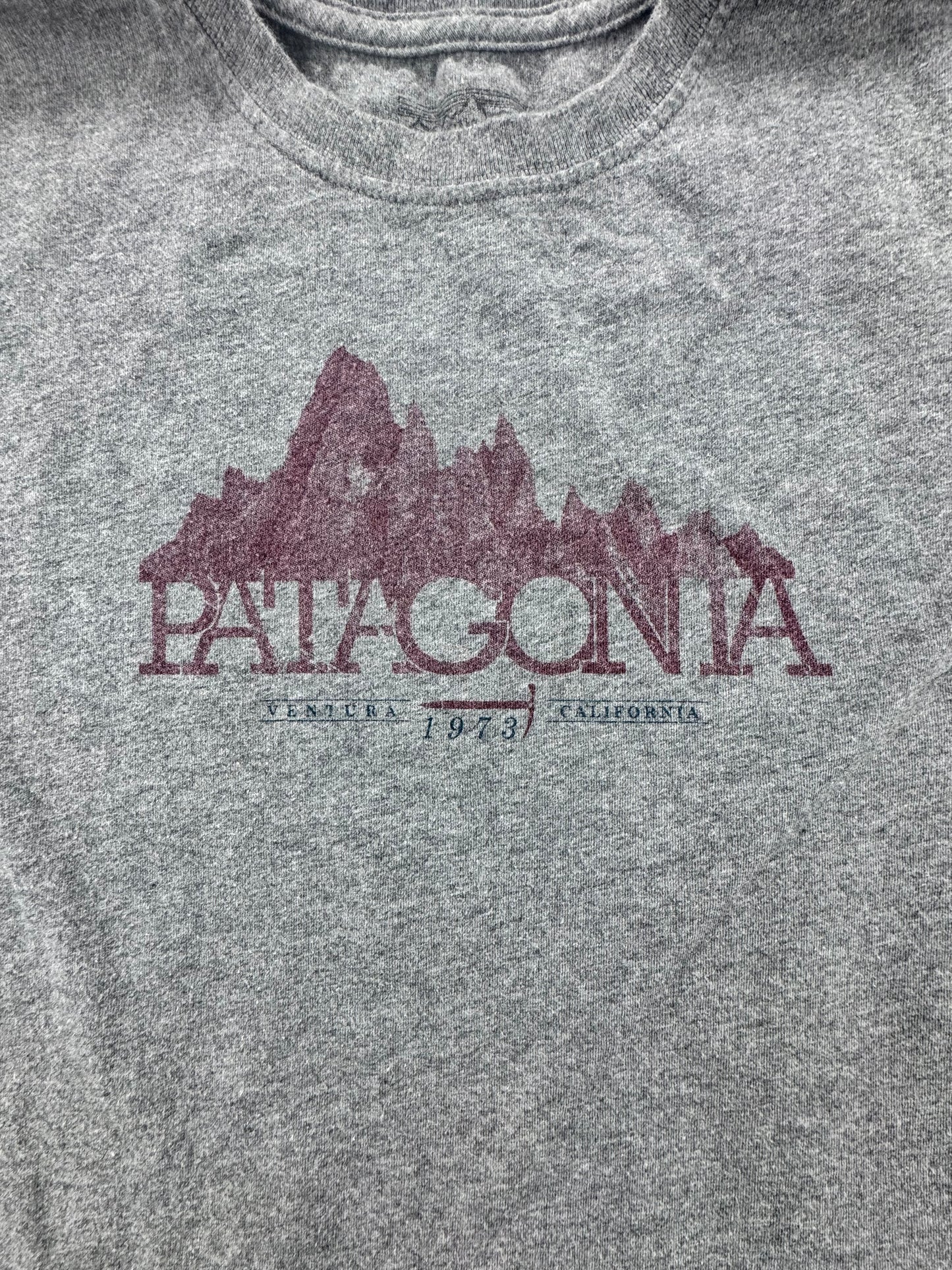 Patagonia Organic Cotton Graphic T-Shirt – Gray – Men’s Large – Made in USA