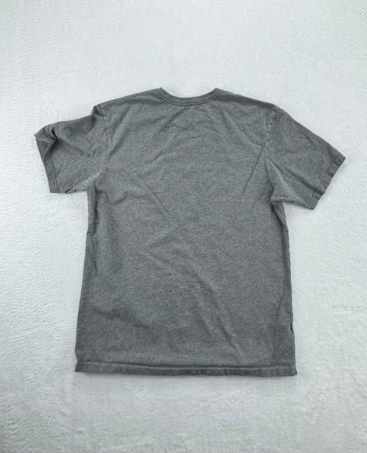 Patagonia Organic Cotton Graphic T-Shirt – Gray – Men’s Large – Made in USA